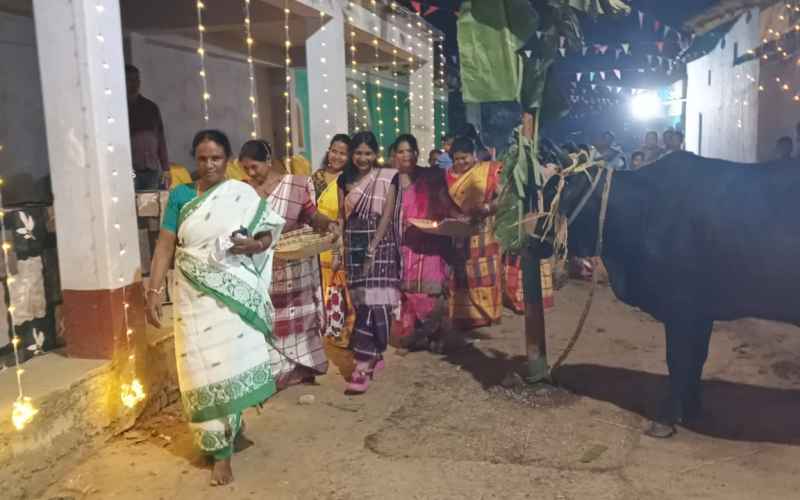 Chakradharpur: गांवों में सागुन सोहराय की धूम, सांसद जोबा माझी ने महिलाओं के साथ की पशुधन की पूजा अर्चना