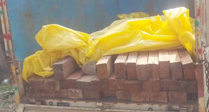 लातेहार: वन विभाग की बड़ी कार्रवाई, अवैध लकड़ि‍यों के साथ पिता-पुत्र गिरफ्तार