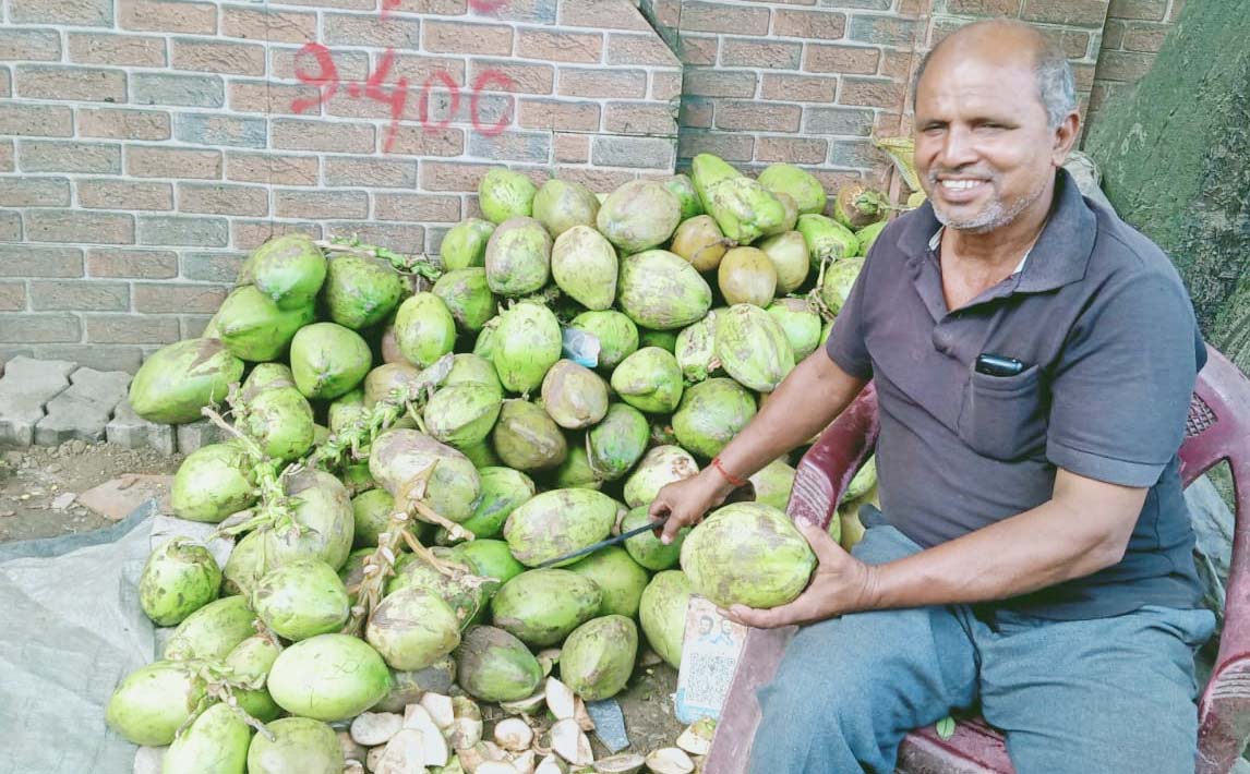 युवाओं में बढ़ रहा नारियल पानी पीने का क्रेज, जानिए फायदे