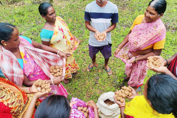 झारखंड के जंगलों में हरियाली की मुहिम : सीड बॉल तकनीक से आदिवासी समाज ने लिया पर्यावरण संरक्षण का संकल्प