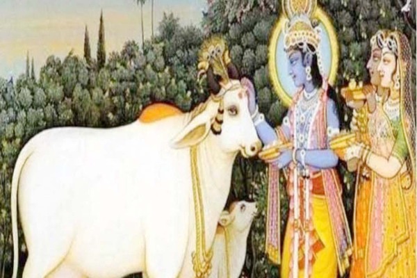रांची : राजस्थानी महिलाओं का लोकप्रिय पर्व बछवारस 20 अगस्त को