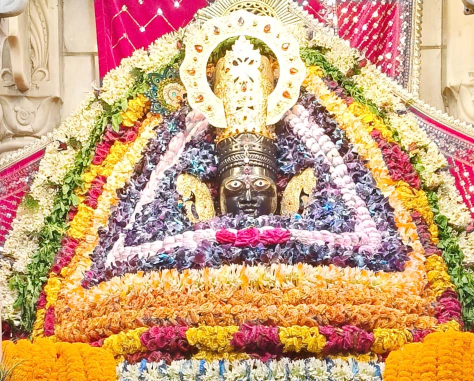 जया एकादशी पर भक्तों ने बाबा श्याम के श्यामल रूप के दर्शन किए
