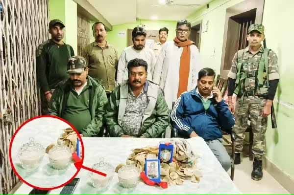 पलामू : सांप के जहर व पैंगोलिन के स्कल तस्करी मामले में और सात तस्कर गिरफ्तार