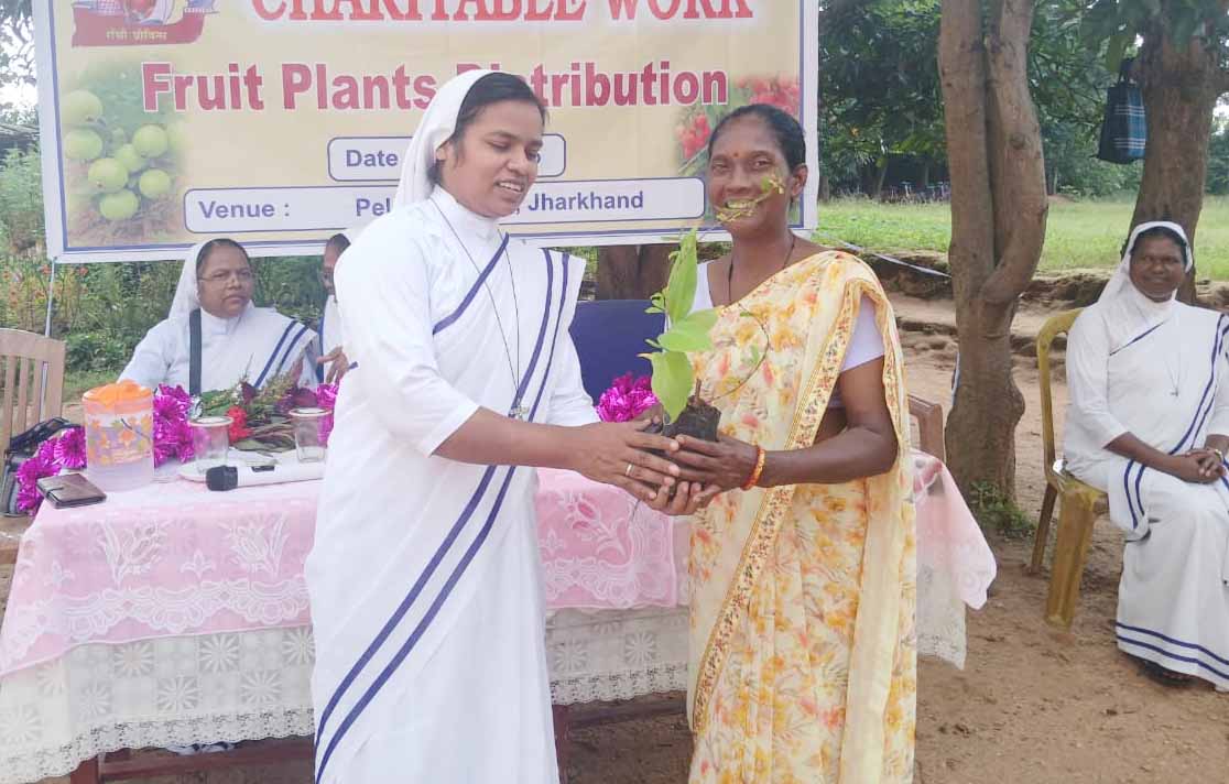 खूंटी : संत अन्ना धर्मसंघ की पुत्रियों ने बांटे 100 फलदार पौधे