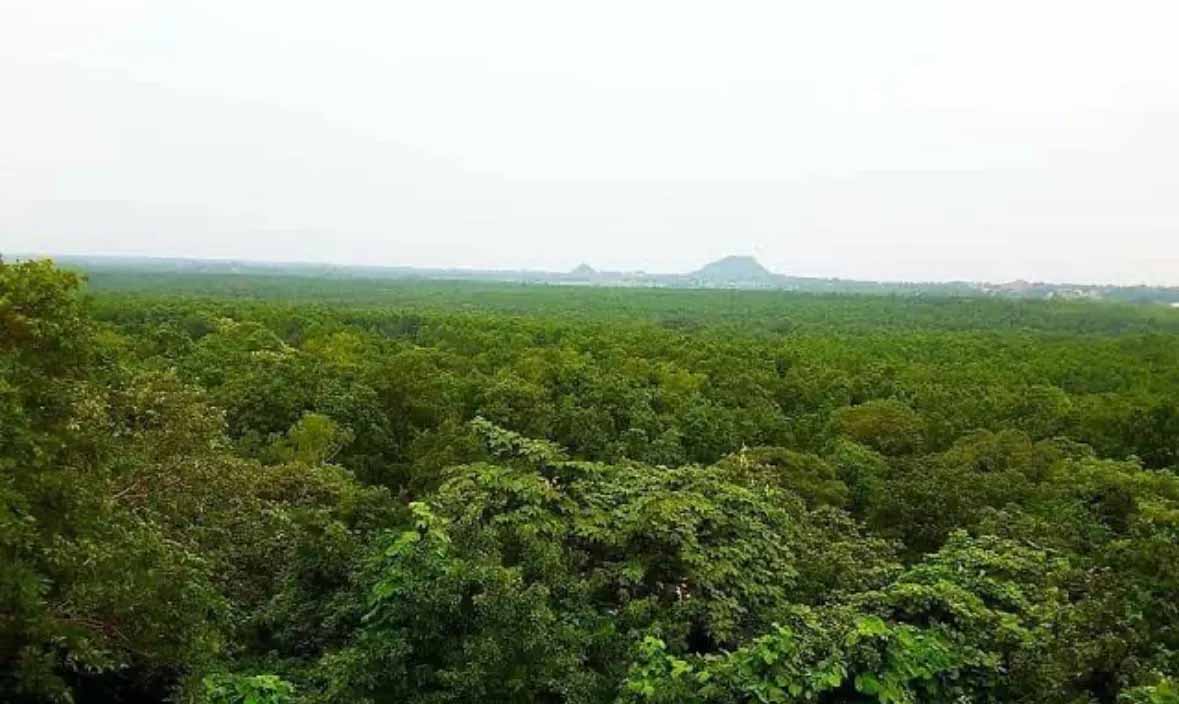 RCCF आरएन मिश्रा पर FC उल्लंघन की केंद्रीय रिपोर्ट झुठलाने का आरोप