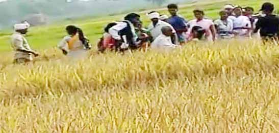 पाहन का आरोप, स्वशासन पड़हा सरकार भारत के लोग उनकी जमीन पर कब्जे की कर रहे कोशिश