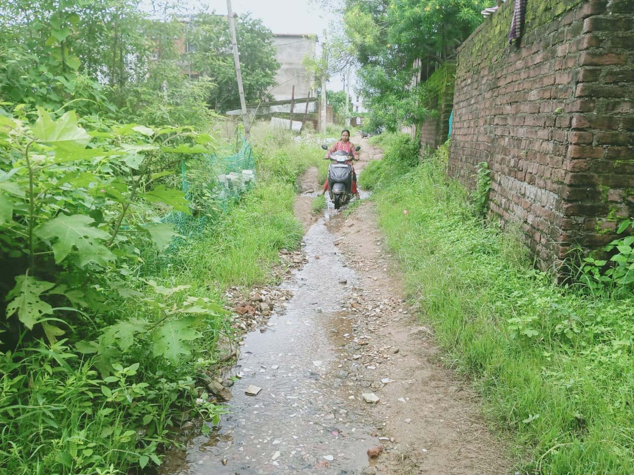Uploaded Image