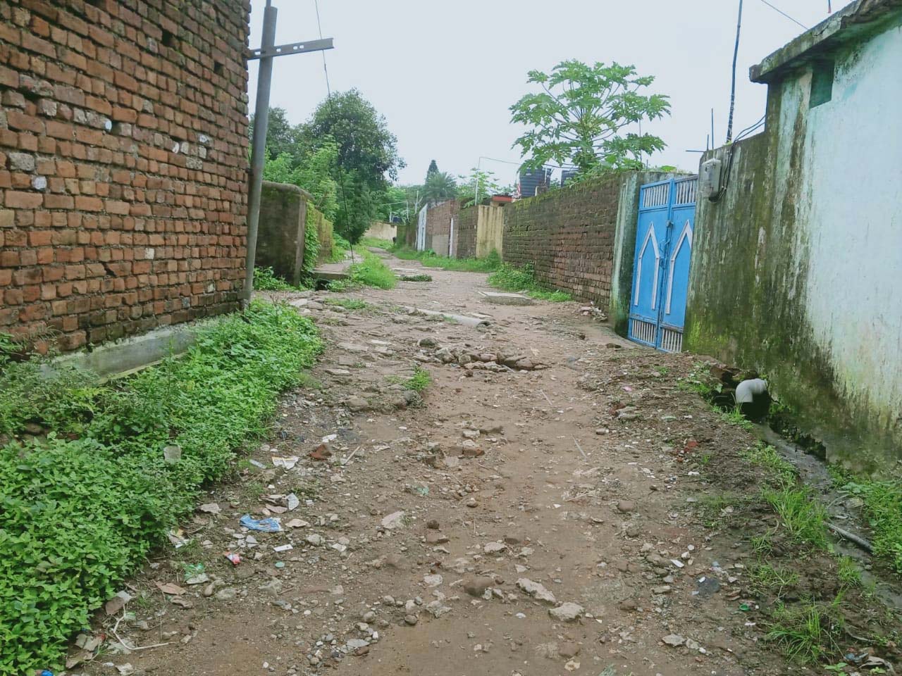 वार्ड नंबर 4 को 25 साल बाद भी नहीं मिला पक्का रास्ता