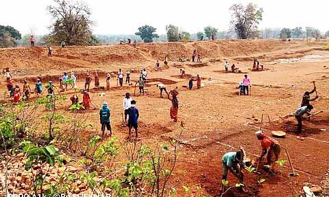 मनरेगा में झारखंड की बड़ी उपलब्धि: 30 नवंबर तक 818 लाख मानव-दिवस का काम पूरा