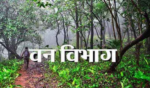 हजारीबाग : वन विभाग में पहले तबादला, फिर रोक