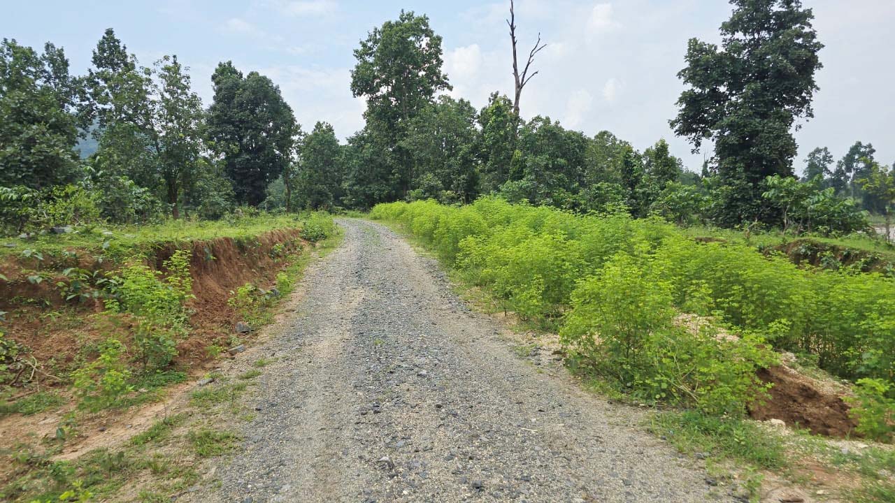 लातेहार : चार वर्षों में भी पूर्ण नहीं हो पाई सड़क, आक्रोश
