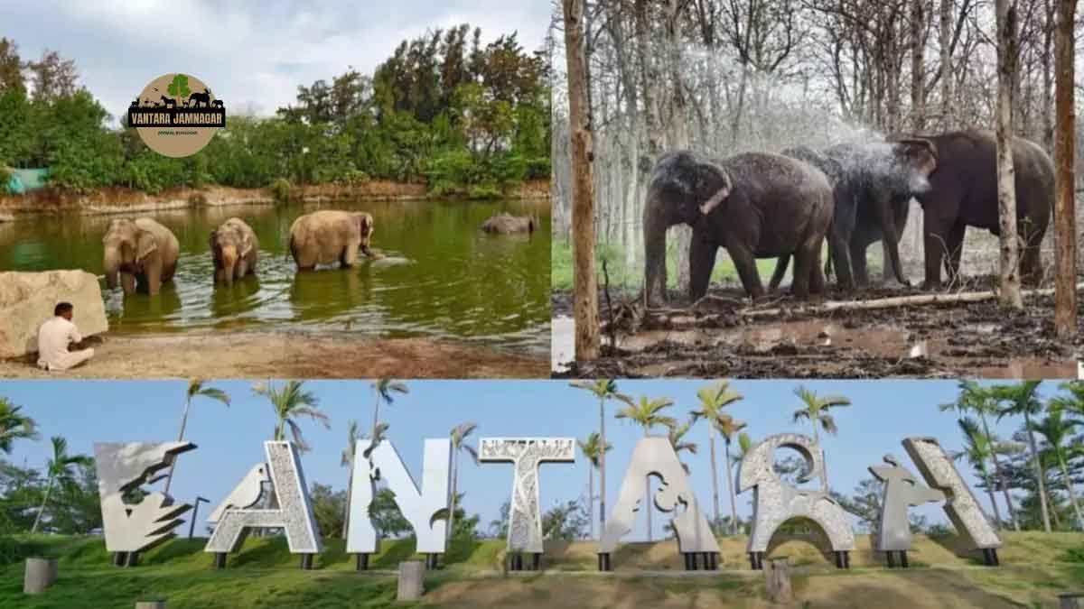 हर जीवन मायने रखता है... थीम पर वनतारा रेस्क्यू रेंजर्स कार्यक्रम का शुभारंभ