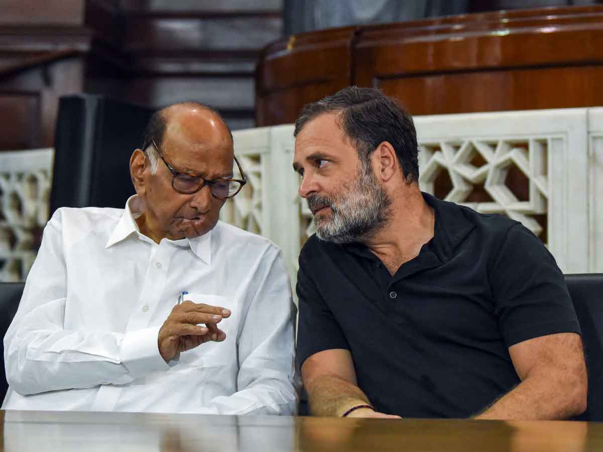 राहुल गांधी वोट चोरी पर चुनाव आयोग से सवाल पूछ रहे हैं, जवाब भाजपा नेता दे रहे हैं :  शरद पवार