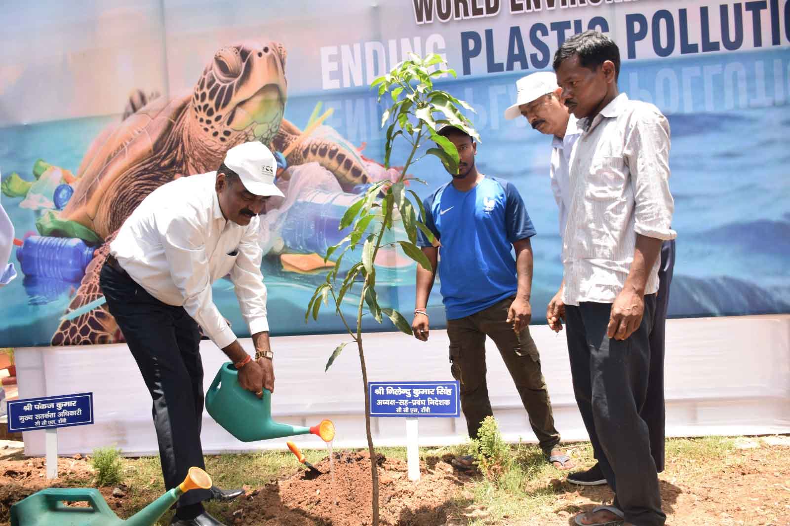 सीसीएल में पर्यावरण दिवस पर पौधे लगाये गये, कर्मचारियों के बीच बांटे गये पौधे