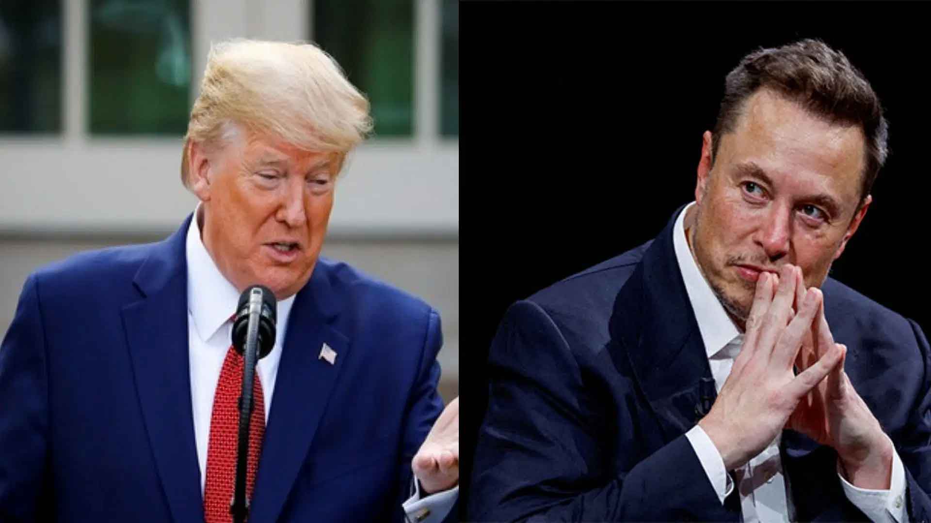 ट्रंप  से भिड़ना एलन मस्क को पड़ा भारी, नेटवर्थ में 33.9 अरब डॉलर की गिरावट, टेस्ला के शेयर  धड़ाम