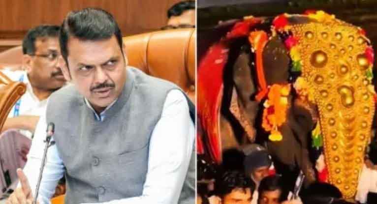 हंगामा थमने के आसार, देवेंद्र फडणवीस ने कहा, महादेवी हथिनी को वापस लायेंगे, वनतारा के अधिकारी भी हैं सहमत