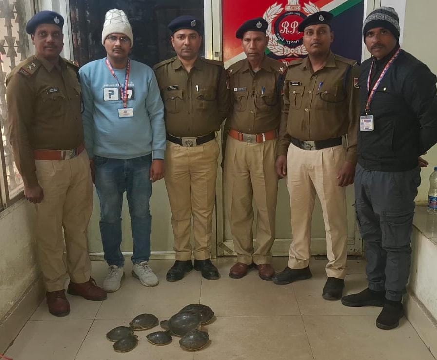 धनबादः RPF ट्रेन की बोगी से 7 कछुए किए जब्त, वन विभाग को सौंपा