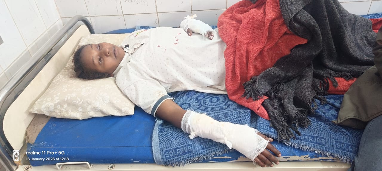 सिमडेगाः भालू के हमले में युवती घायल, अस्पताल में भर्ती