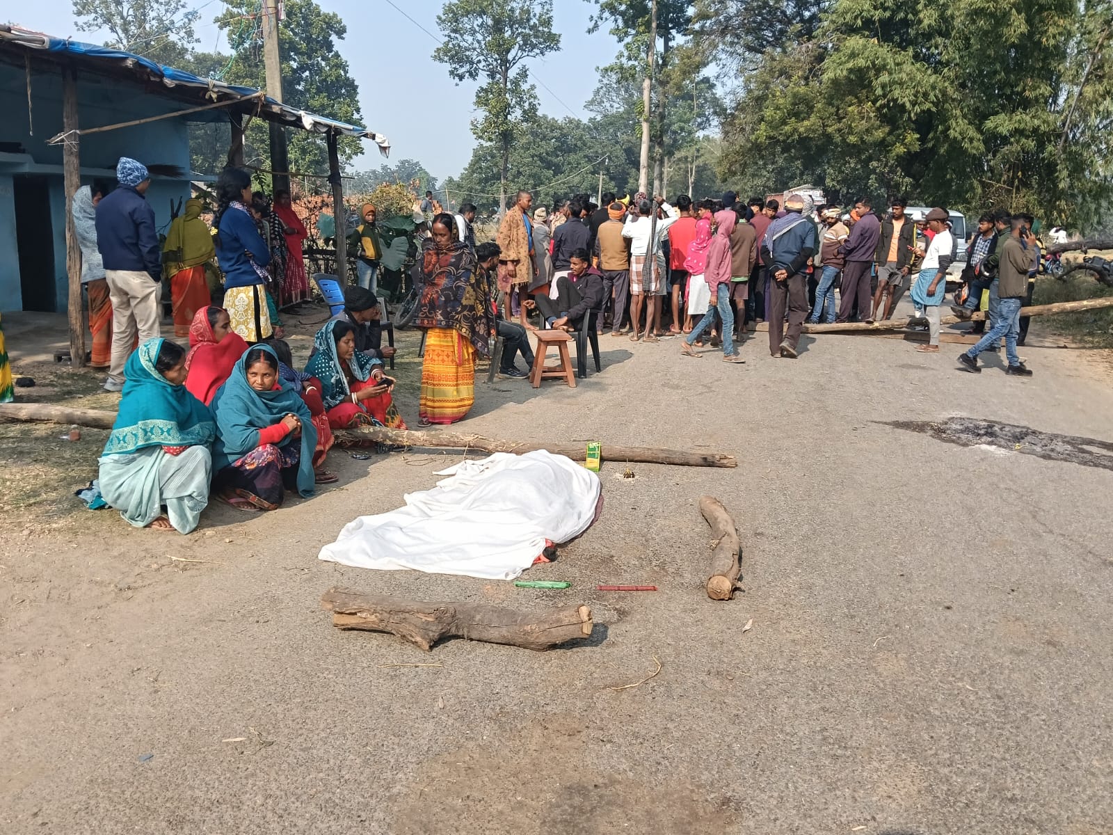 बोकारो के जगेसर में हाथियों का आतंक, महिला को कुचलकर मार डाला