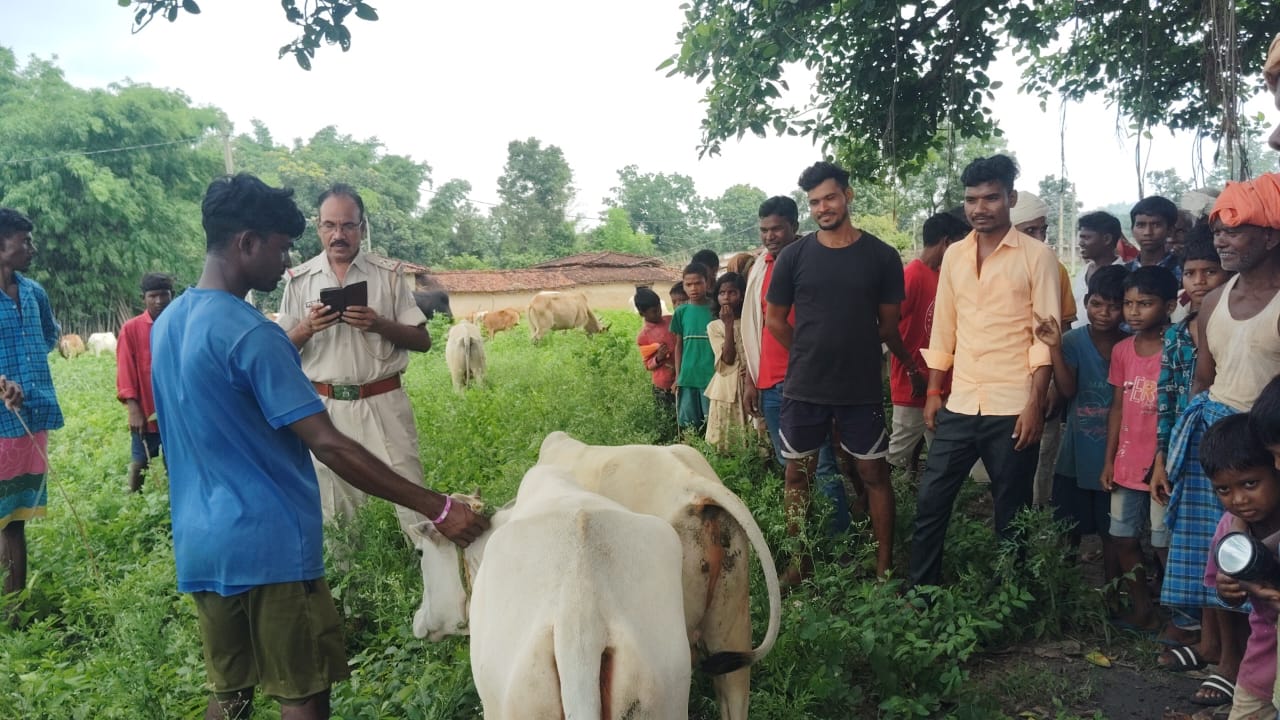 लातेहारः ग्रामीणों ने तस्करी को ले जाए जा रहे मवेशियों को पकड़ा, भागे तत्कर