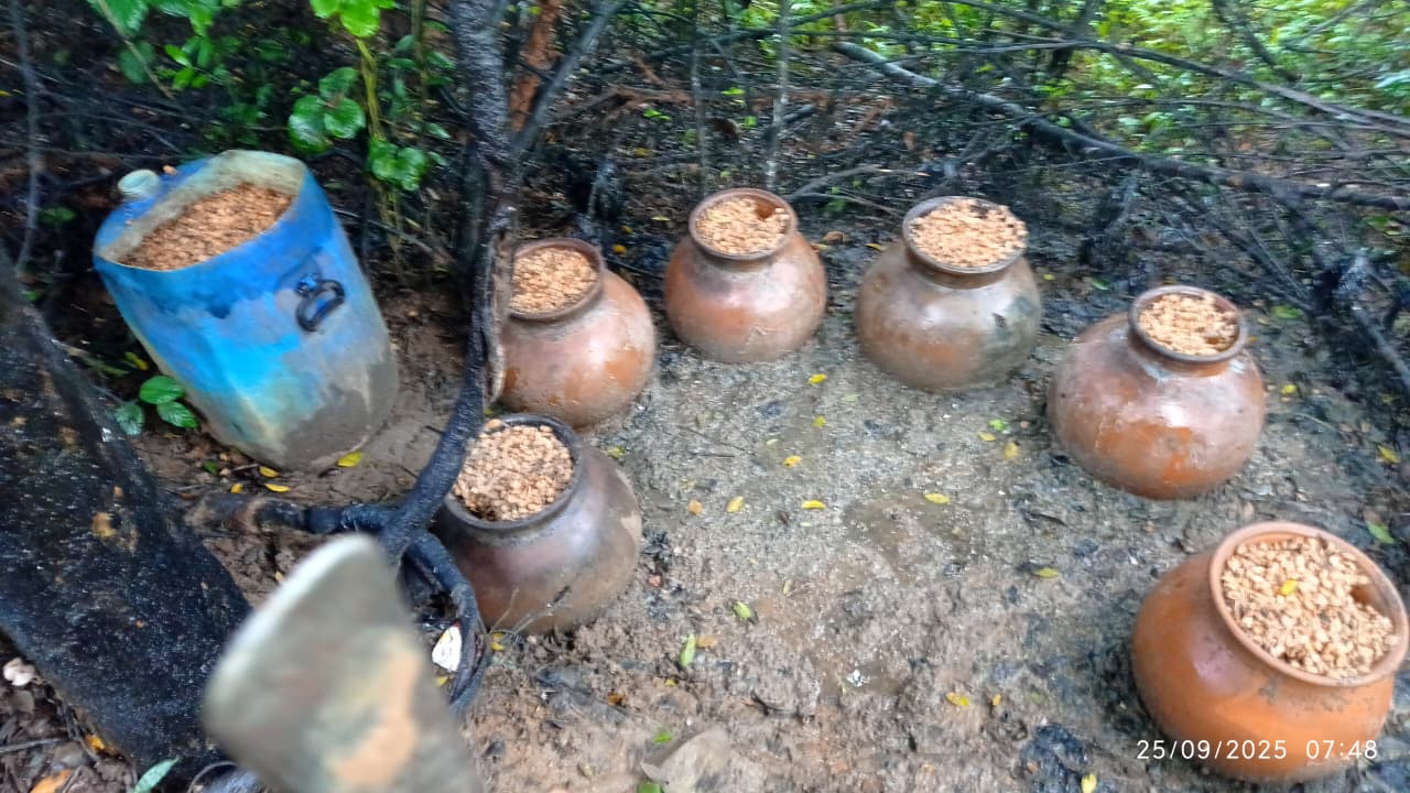 रामगढ़ः उत्पाद विभाग की छापेमारी में कई अवैध शराब भट्ठियां ध्वस्त