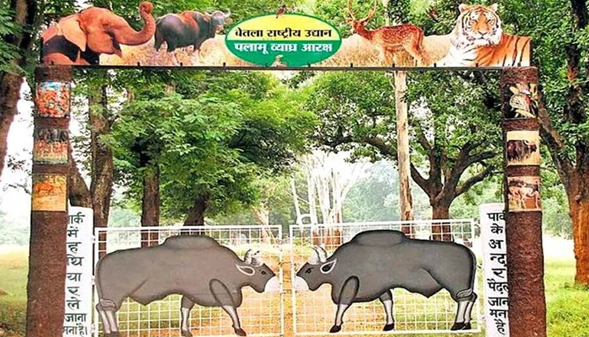 पलामू टाइगर रिजर्व की सुरक्षा होगी चाक-चौबंद, फॉरेस्ट अफसरों को मिली दंडाधिकारी की शक्ति