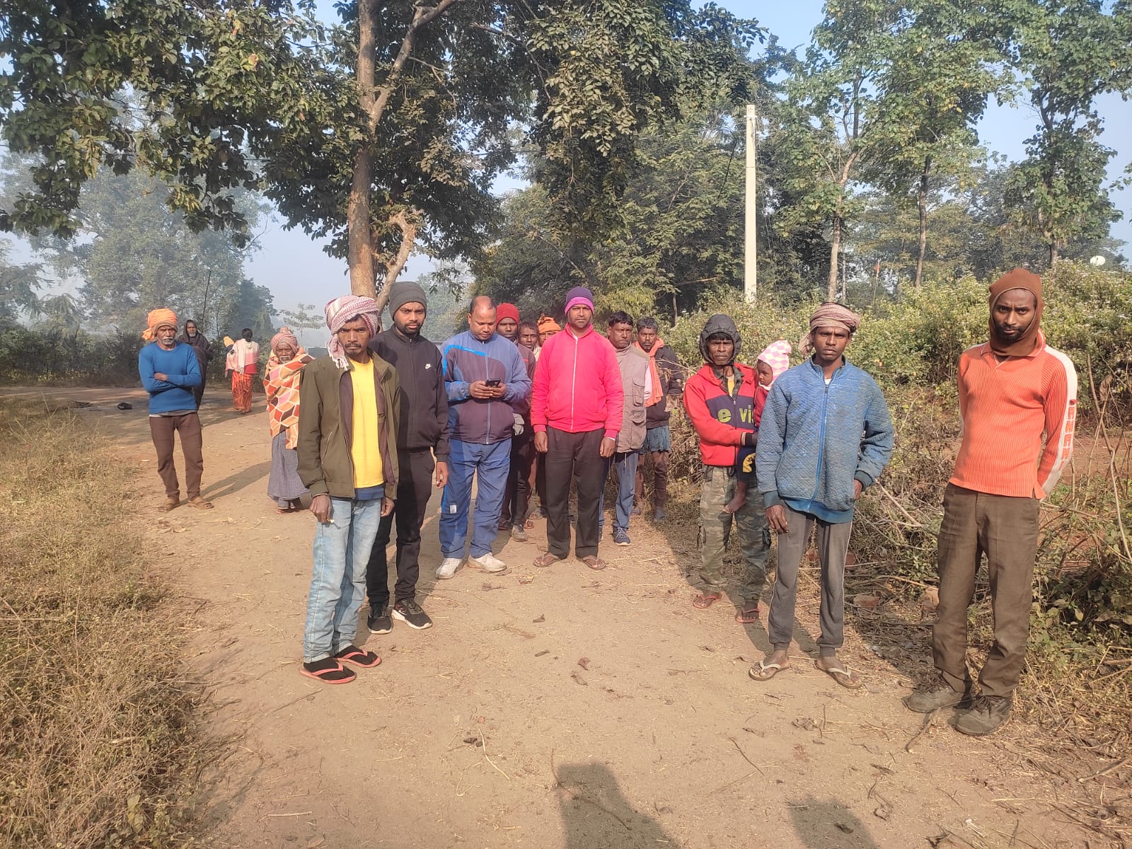 रामगढ़ः कच्चूदाग में जंगली हाथियों का उत्पात, फसल रौंदी