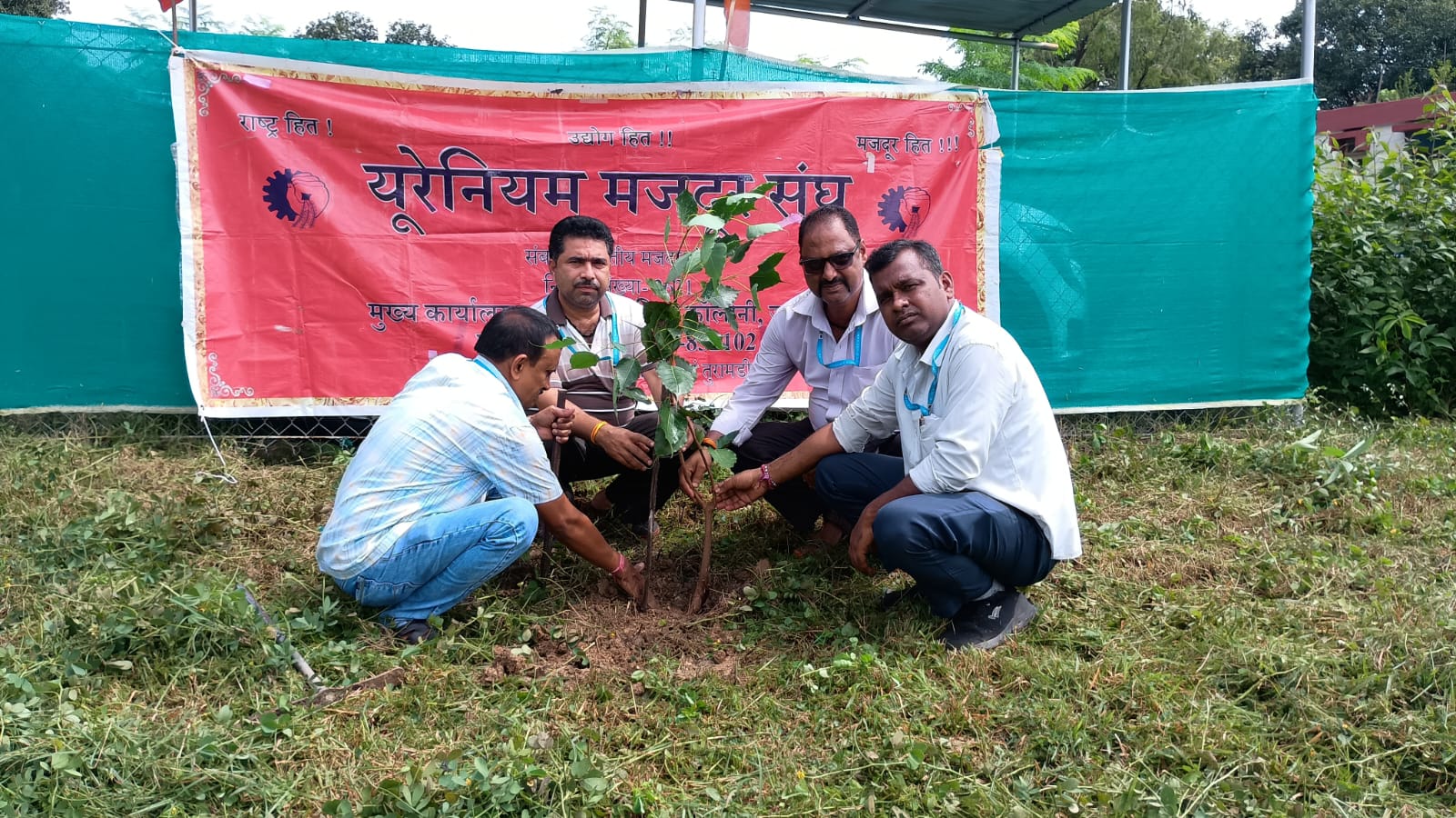 जमशेदपुरः यूरेनियम मजदूर संघ के नेताओं ने किया पौधरोपण