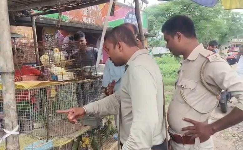 धनबादः तोते की तस्करी पर वन विभाग की कार्रवाई, एक तस्कर धराया, 2 दर्जन पक्षी जब्त