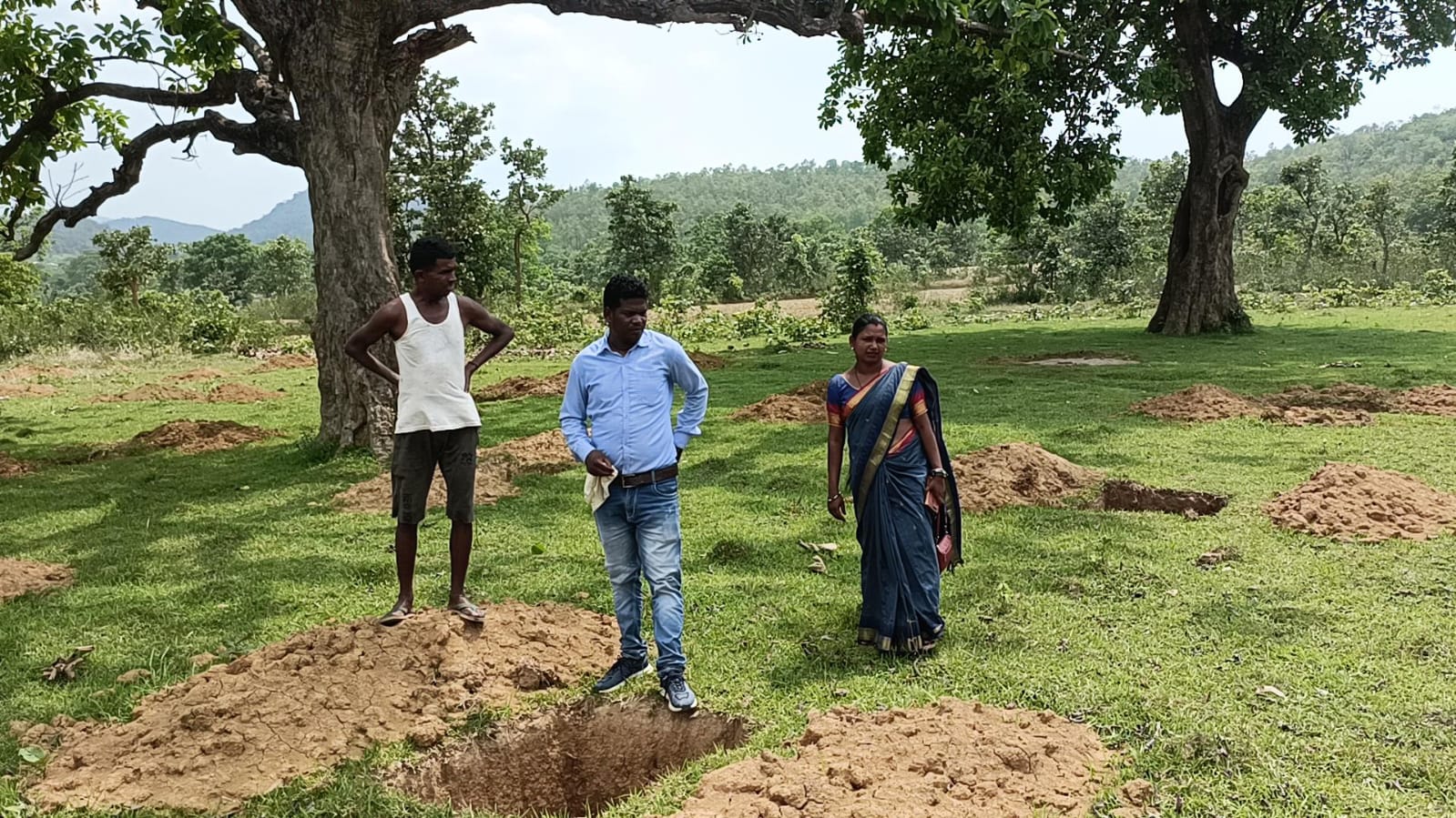 चाईबासाः जिप सदस्य ने आम बागवानी कार्य का लिया जायजा