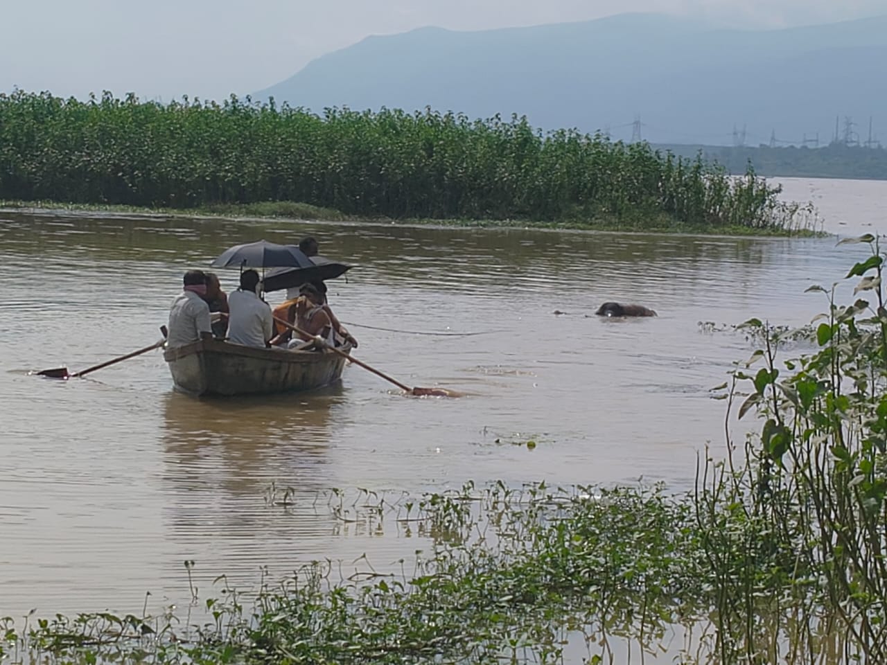 रामगढ़ः भैरवी नदी में डूबे युवक का शव तीसरे दिन तेनुघाट डैम से बरामद