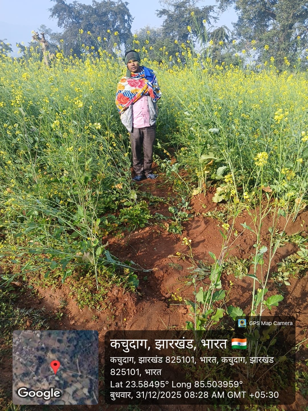 रामगढ़ः कच्चूदाग में घुसा हाथियों का झुंड, ग्रामीणों में दहशत