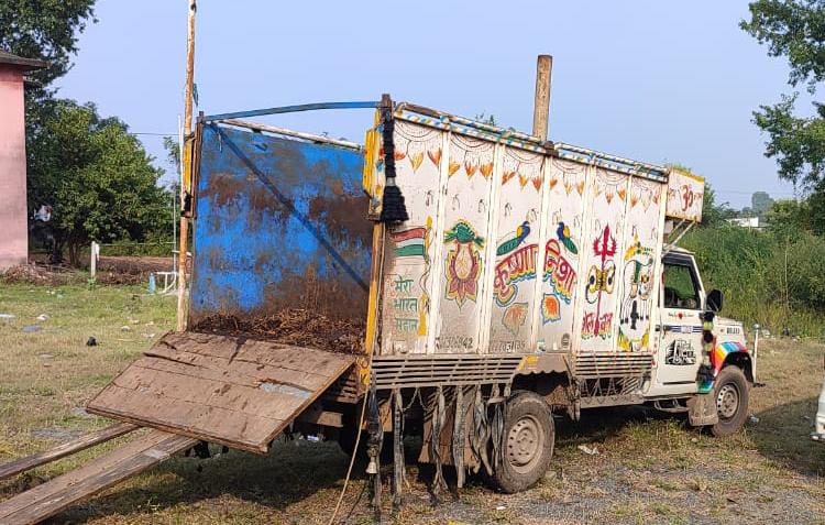 पलामूः तस्करी के लिए ले जाए जा रहे 11 मवेशी मुक्त, तस्कर फरार