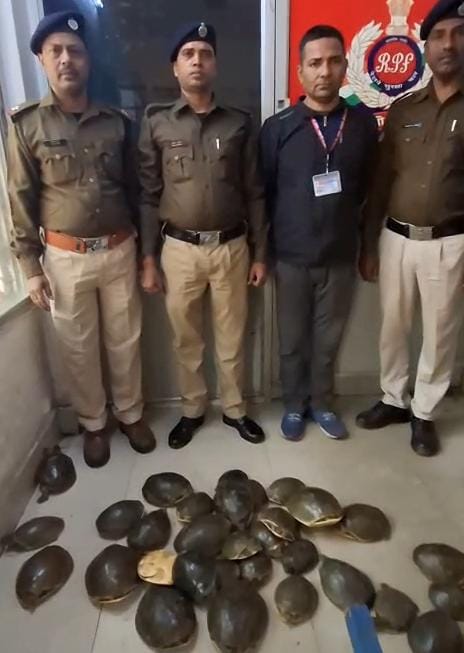 धनबादः RPF ने दून एक्सप्रेस की महिला बोगी से 3.5 लाख के 35 जीवित कछुए किए बरामद