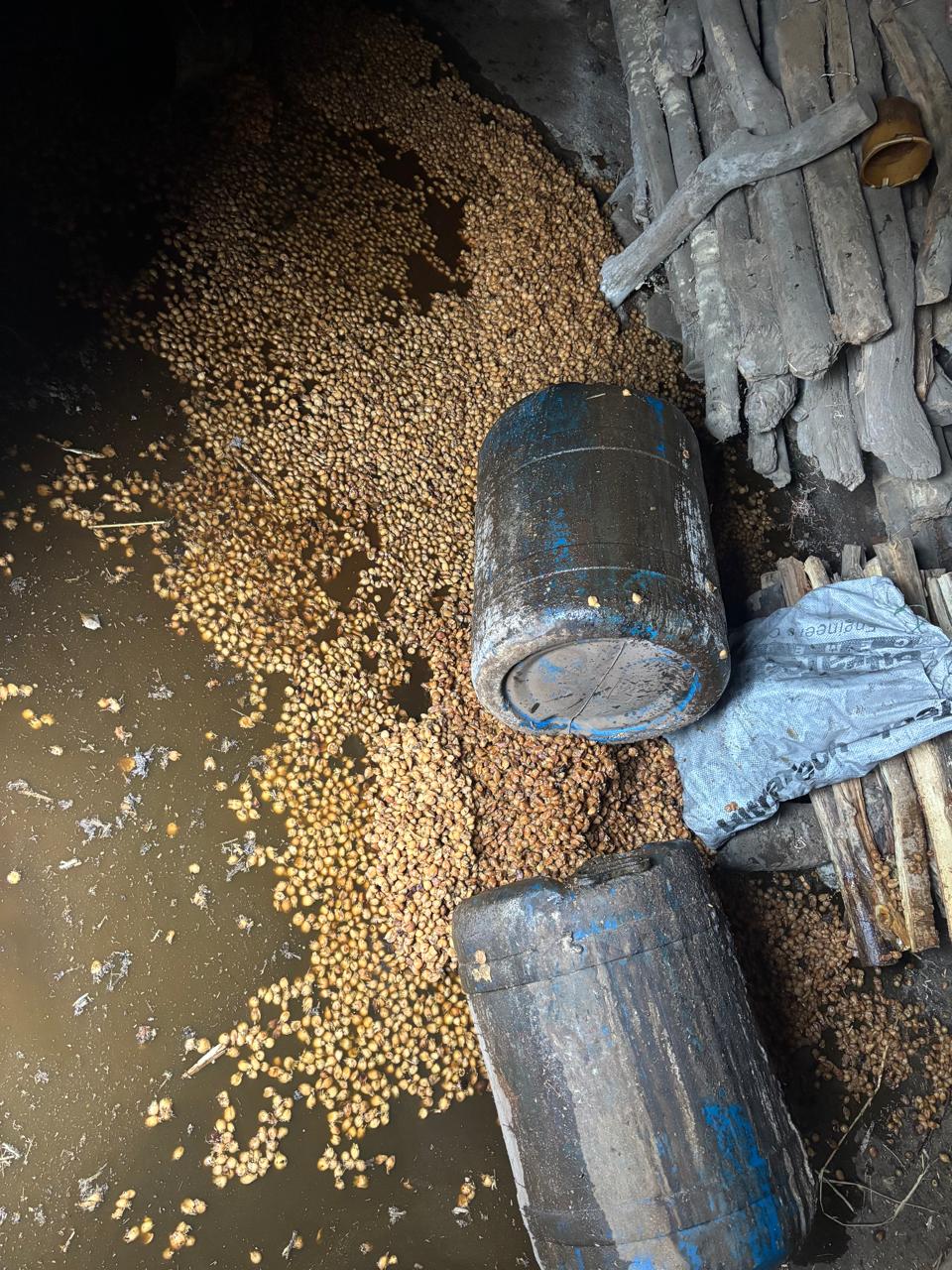 गिरिडीहः उत्पाद विभाग ने 2 गांवों में अवैध शराब भट्ठी ध्वस्त की, भारी मात्रा में महुआ व शराब नष्ट