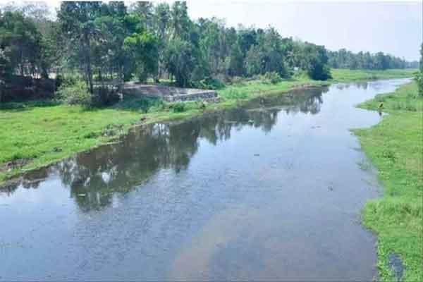 नदी तटों पर हरियाली बढ़ाने का एक्शन प्लान तैयार, 87 किलोमीटर होगा पौधारोपण