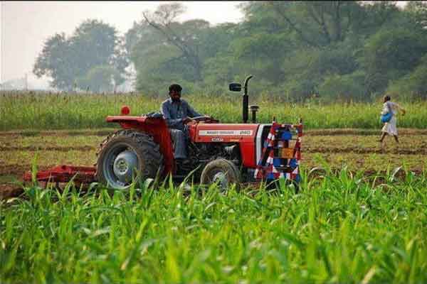 JAMTTC के आरपी सिंह का अनुबंध समाप्त, फिर भी कुर्सी पर काबिज
