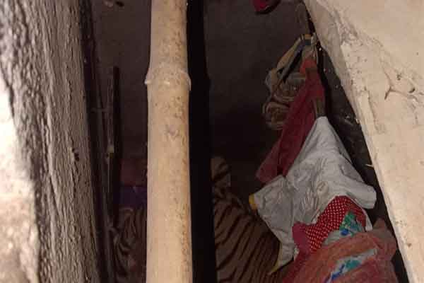 वन विभाग के पिंजरे में कैद हुआ बाघ, रेस्क्यू ऑपरेशन सफल