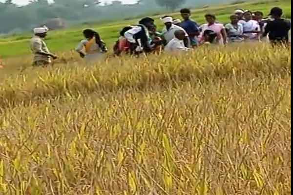 स्वशासन पड़हा सरकार भारत के लोगों ने पाहन से की मारपीट, मामला दर्ज