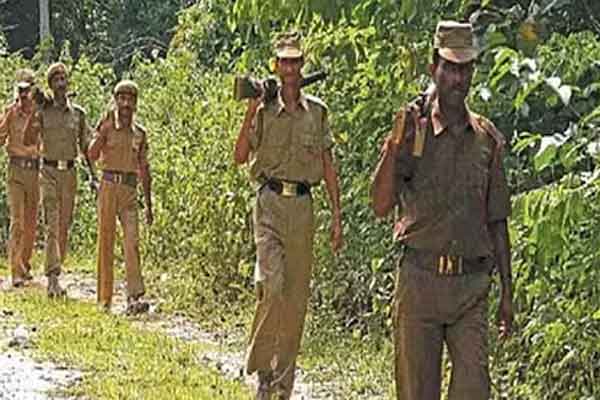 वन विभाग ने माना - वनपाल की सीधी भर्ती के लिए नियमावली ही नहीं, वनरक्षियों को प्रभार देकर चलाया जा रहा काम