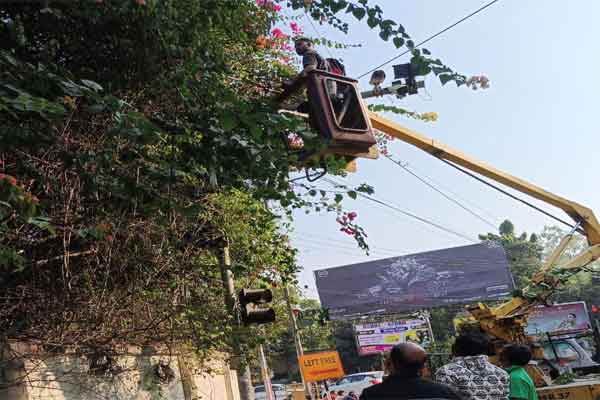 रांची नगर निगम की हॉर्टिकल्चर टीम शहर को और हरा-भरा बनाने में जुटी