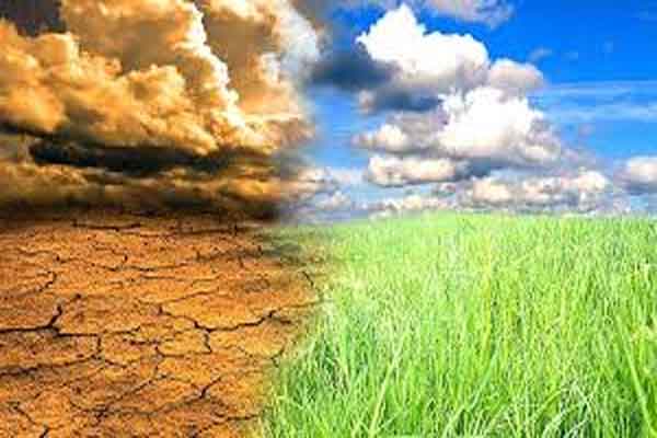 झारखंड में जलवायु परिवर्तन का मंडरा रहा खतरा, कार्बन क्रेडिट परियोजनाओं की पहचान की हो रही कवायद