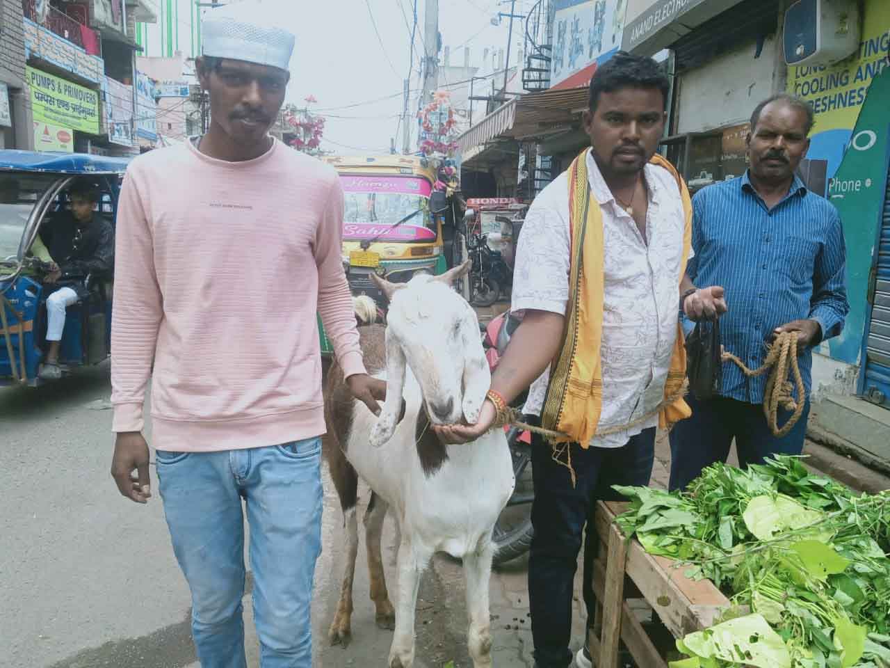 कुर्बानी बाजार में लाखों में बिक रहे बकरे, सुल्तान और डेविड बने आकर्षण का केंद्र