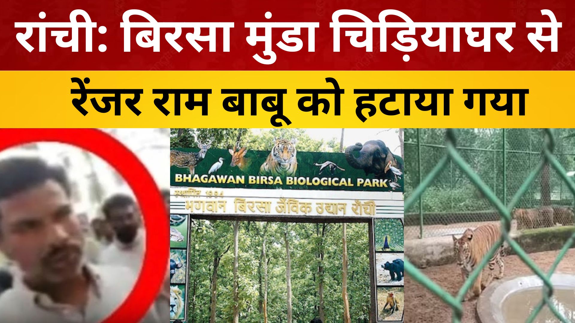 रांची: बिरसा मुंडा चिड़ियाघर से रेंजर राम बाबू को हटाया गया