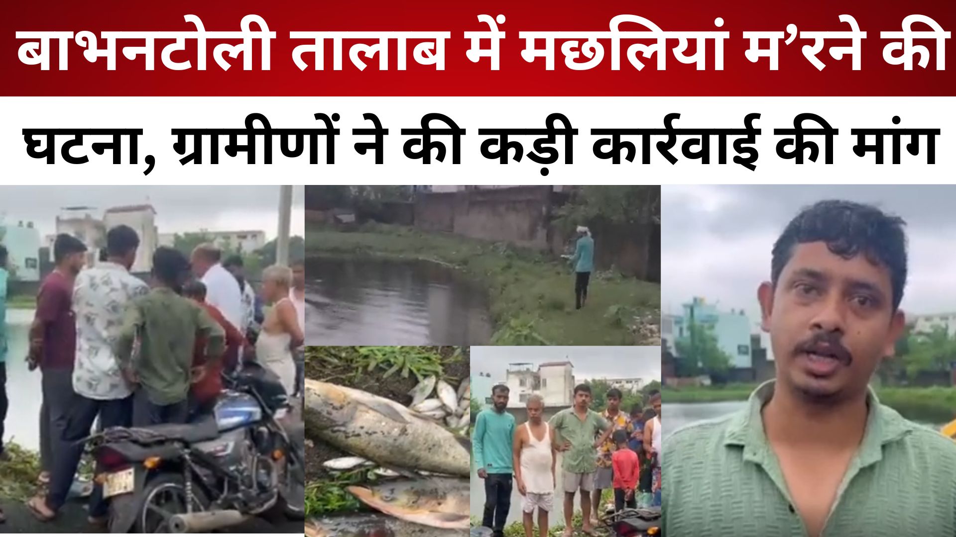 गिरिडीह: बाभनटोली तालाब में मछलियां म’रने की घटना, ग्रामीणों ने की कड़ी कार्रवाई की मांग