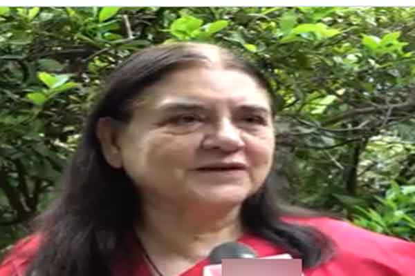 स्ट्रे डॉग्स पर SC के आदेश को लेकर विवाद, मेनका गांधी ने कहा- तार्किक सोच का है अभाव