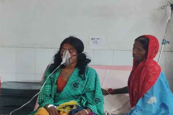 गिरिडीह :  कर्माटांड़ में महिला को सांप ने डंसा,  हालत नाजुक,  SNMMCH में भर्ती