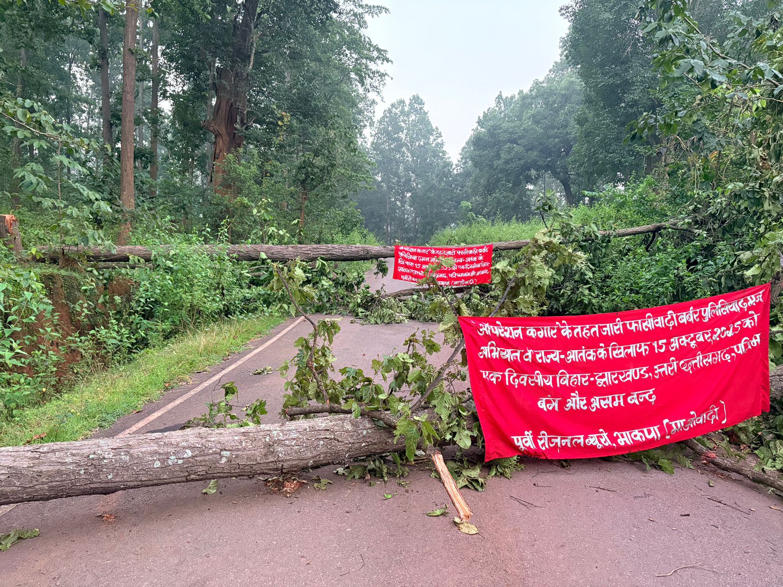 चाईबासा :  ऑपरेशन कगार के विरोध में नक्सलियों की पोस्टरबारी, पेड़ काटकर किया सड़क अवरुद्ध