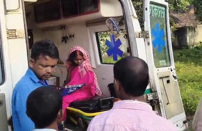 धनबाद :  पूर्वी टुंडी में लोमड़ी का आतंक, तालाब में बर्तन धो रही महिला पर किया हमला