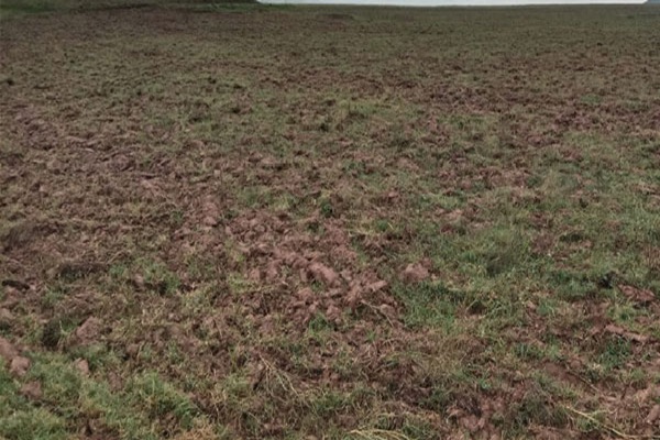 संतोष ने पैतृक संपत्ति में हिस्सा ना लेने की शर्त पर पेयजल घोटाले की रकम से बहन के लिए जमीन खरीदी